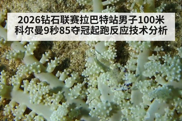 2026钻石联赛拉巴特站男子100米科尔曼9秒85夺冠起跑反应技术分析
